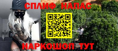 прущие грибы Моздок