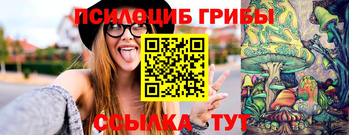 Ульяновск  Галлюциногенные грибы GOLDEN TEACHER  Галлюциногенные грибы Psilocybe  Вход с VPN 