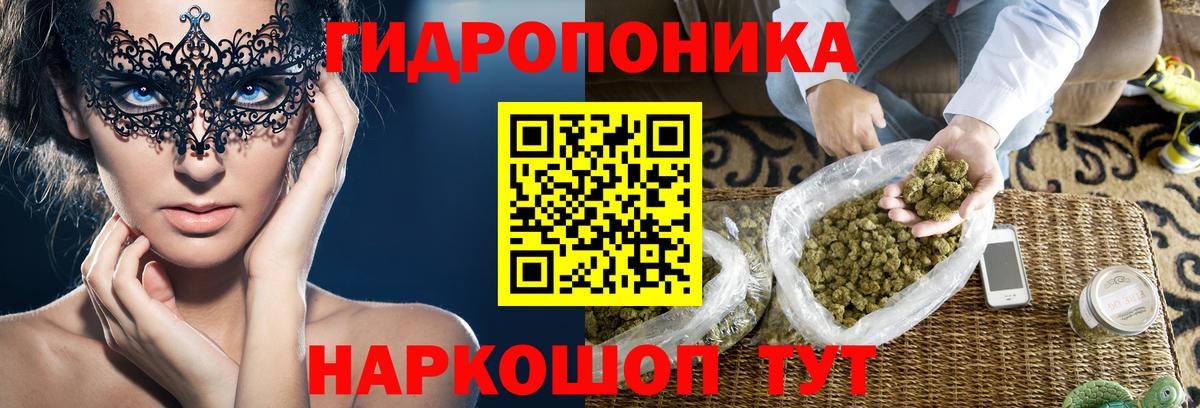 Конопля OG Kush  Бошки марихуана SATIVA & INDICA  Вход с VPN  Шишки марихуана OG Kush  Ульяновск 